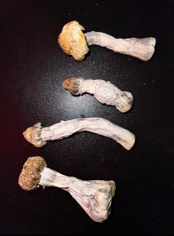 12.7 grams YETI's