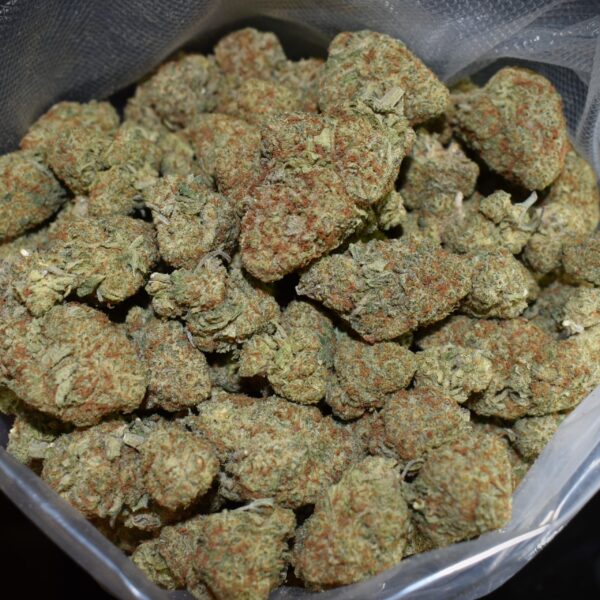 5G Gelato