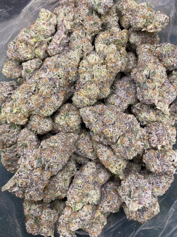 Gelato Cake Mediums
