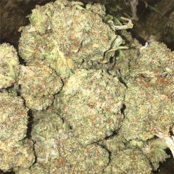 Lemon Cherry Sherb