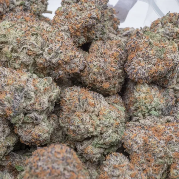 Gelato Cake