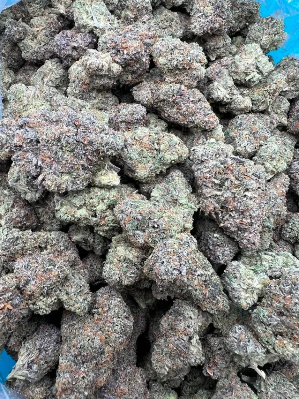 Purple Push Pop Smalls