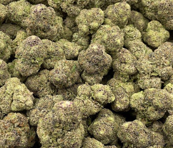 White Cherry Gelato