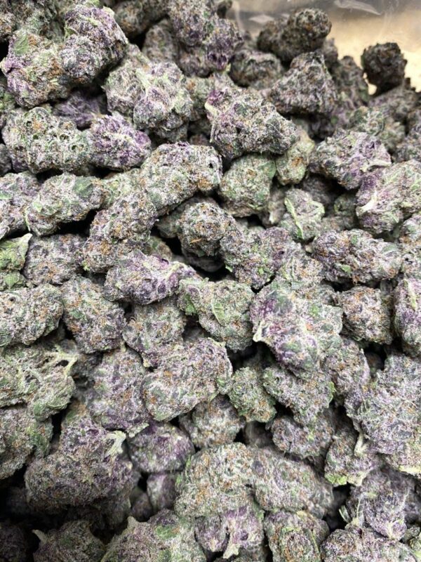 TROPICANA GELATO SMALLS