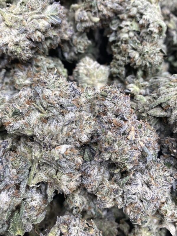 SOUR POWER